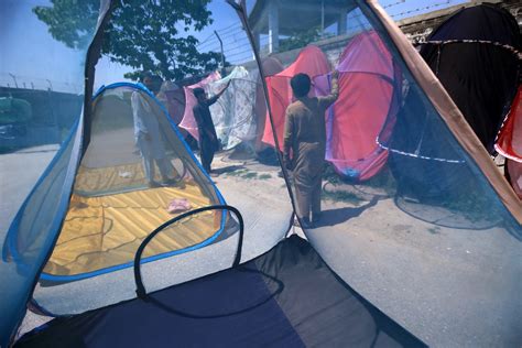 buy malaria nets.